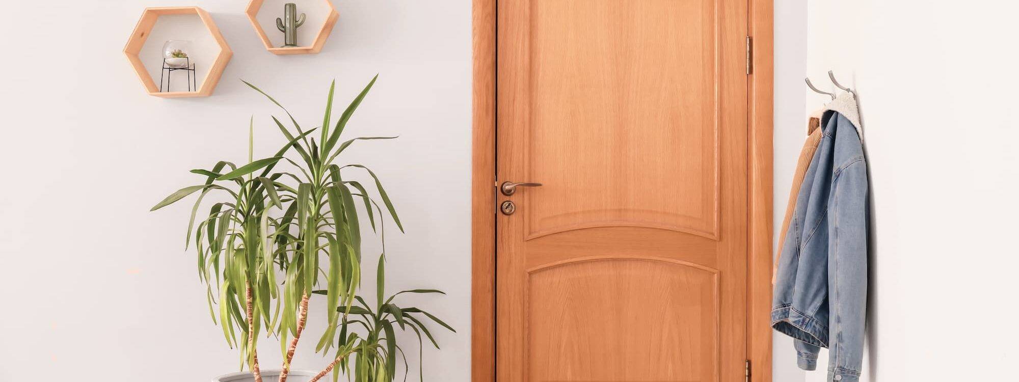 Comment personnaliser vos portes d’intérieur avec des finitions modernes et tendance ? Lingolsheim